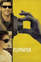Flypaper