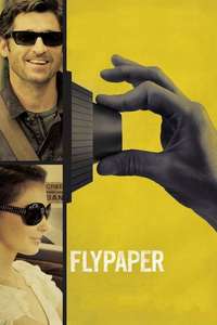 Flypaper - Poster