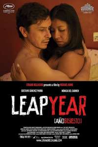 Leap Year - Poster