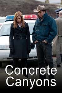 Concrete Canyons - Poster