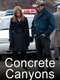 Concrete Canyons
