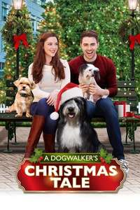 A Dogwalker's Christmas Tale - Poster