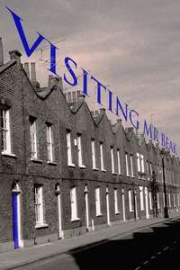 Visiting Mr. Beak - Poster