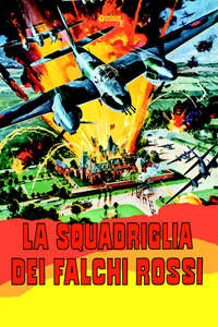 Mosquito Squadron - Poster