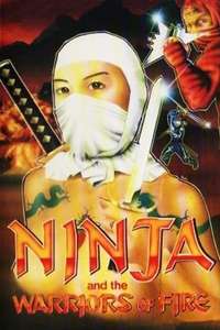 Ninja and the Warriors of Fire - Poster