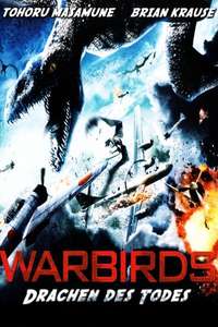 Warbirds - Poster