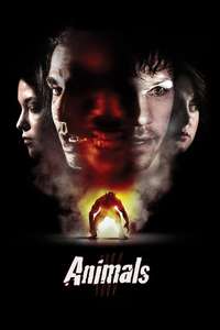 Animals - Poster