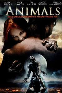 Animals - Poster