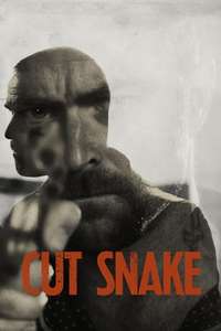 Cut Snake - Poster
