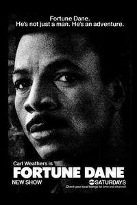 Fortune Dane - Poster