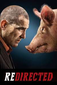 Redirected - Poster