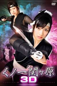 Kunoichi Sekigahara 3D - Poster