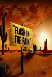 Flash in the Pain