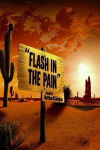 Flash in the Pain - Poster