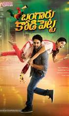 Bangaru Kodipetta