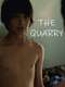 The Quarry