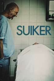 Sugar