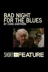 Bad Night for the Blues - Poster