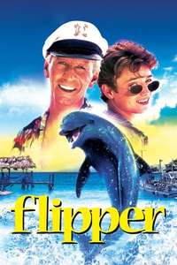 Flipper - Posters