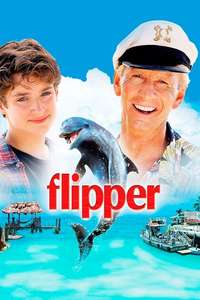 Flipper - Posters