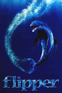 Flipper - Posters