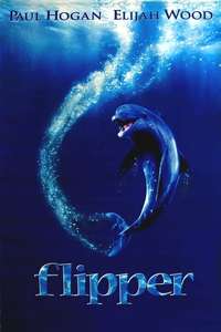 Flipper - Posters