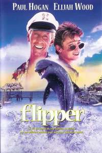 Flipper - Posters