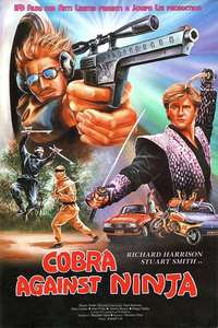 Cobra vs. Ninja - Poster