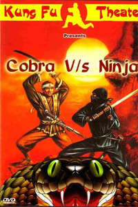 Cobra vs. Ninja - Poster