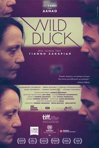 Wild Duck - Poster