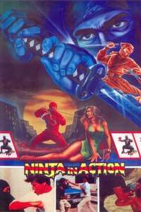 Ninja in Action - Poster