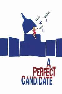 A Perfect Candidate - Poster