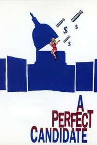 A Perfect Candidate - Poster