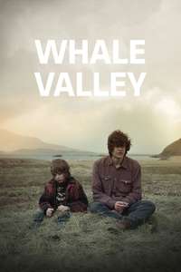 Whale Valley - Poster