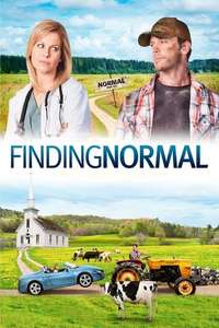 Finding Normal - Poster