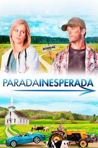 Finding Normal - Poster