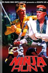 Ninja Hunt - Poster