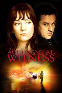 The Accidental Witness - Poster