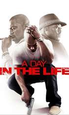 A Day In The Life