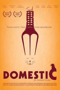 Domestic - Poster