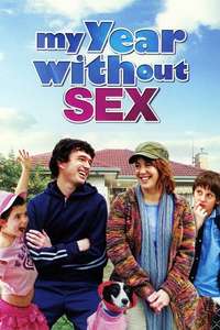 My Year Without Sex - Poster