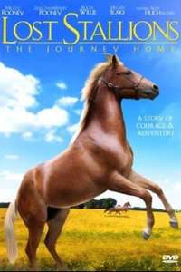 Lost Stallions: The Journey Home - Poster