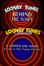 It Hopped One Night: A Look at  One Froggy Evening 