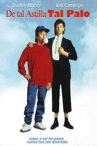 Like Father Like Son - Poster