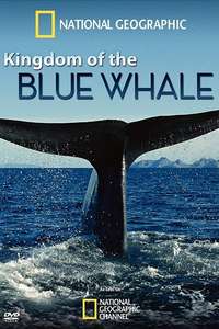 Kingdom of the Blue Whale - Poster