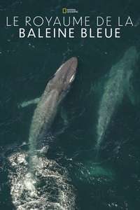 Kingdom of the Blue Whale - Poster