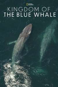 Kingdom of the Blue Whale - Poster