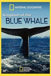 Kingdom of the Blue Whale