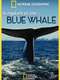 Kingdom of the Blue Whale