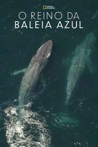 Kingdom of the Blue Whale - Poster